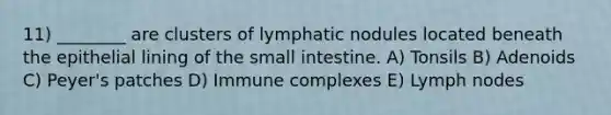 11) ________ are clusters of lymphatic nodules located beneath the epithelial lining of the small intestine. A) Tonsils B) Adenoids C) Peyer's patches D) Immune complexes E) Lymph nodes