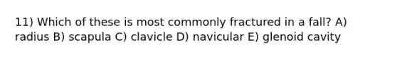 11) Which of these is most commonly fractured in a fall? A) radius B) scapula C) clavicle D) navicular E) glenoid cavity