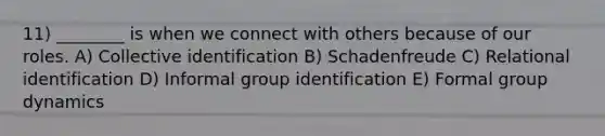 11) ________ is when we connect with others because of our roles. A) Collective identification B) Schadenfreude C) Relational identification D) Informal group identification E) Formal group dynamics