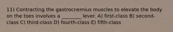 11) Contracting the gastrocnemius muscles to elevate the body on the toes involves a ________ lever. A) first-class B) second-class C) third-class D) fourth-class E) fifth-class