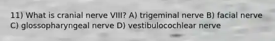 11) What is cranial nerve VIII? A) trigeminal nerve B) facial nerve C) glossopharyngeal nerve D) vestibulocochlear nerve