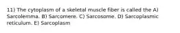 11) The cytoplasm of a skeletal muscle fiber is called the A) Sarcolemma. B) Sarcomere. C) Sarcosome. D) Sarcoplasmic reticulum. E) Sarcoplasm