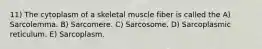 11) The cytoplasm of a skeletal muscle fiber is called the A) Sarcolemma. B) Sarcomere. C) Sarcosome. D) Sarcoplasmic reticulum. E) Sarcoplasm.