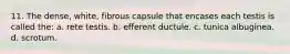 11. The dense, white, fibrous capsule that encases each testis is called the: a. rete testis. b. efferent ductule. c. tunica albuginea. d. scrotum.