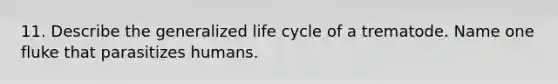 11. Describe the generalized life cycle of a trematode. Name one fluke that parasitizes humans.