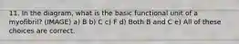 11. In the diagram, what is the basic functional unit of a myofibril? (IMAGE) a) B b) C c) F d) Both B and C e) All of these choices are correct.