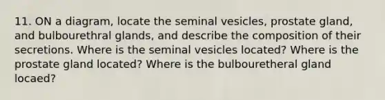 11. ON a diagram, locate the seminal vesicles, prostate gland, and bulbourethral glands, and describe the composition of their secretions. Where is the seminal vesicles located? Where is the prostate gland located? Where is the bulbouretheral gland locaed?