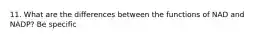 11. What are the differences between the functions of NAD and NADP? Be specific