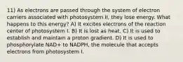 11) As electrons are passed through the system of electron carriers associated with photosystem II, they lose energy. What happens to this energy? A) It excites electrons of the reaction center of photosystem I. B) It is lost as heat. C) It is used to establish and maintain a proton gradient. D) It is used to phosphorylate NAD+ to NADPH, the molecule that accepts electrons from photosystem I.