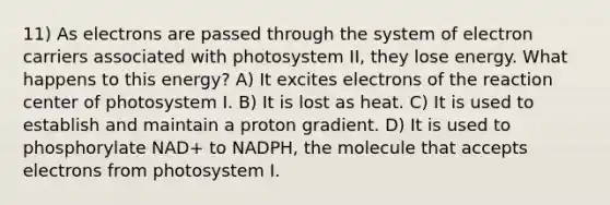 11) As electrons are passed through the system of electron carriers associated with photosystem II, they lose energy. What happens to this energy? A) It excites electrons of the reaction center of photosystem I. B) It is lost as heat. C) It is used to establish and maintain a proton gradient. D) It is used to phosphorylate NAD+ to NADPH, the molecule that accepts electrons from photosystem I.