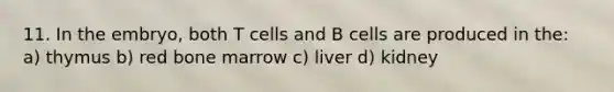 11. In the embryo, both T cells and B cells are produced in the: a) thymus b) red bone marrow c) liver d) kidney