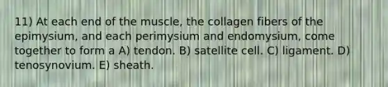 11) At each end of the muscle, the collagen fibers of the epimysium, and each perimysium and endomysium, come together to form a A) tendon. B) satellite cell. C) ligament. D) tenosynovium. E) sheath.