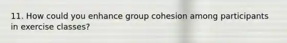 11. How could you enhance group cohesion among participants in exercise classes?