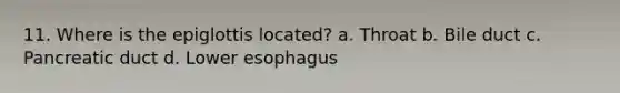 11. Where is the epiglottis located? a. Throat b. Bile duct c. Pancreatic duct d. Lower esophagus