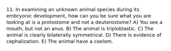 11. In examining an unknown animal species during its embryonic development, how can you be sure what you are looking at is a protostome and not a deuterostome? A) You see a mouth, but not an anus. B) The animal is triploblastic. C) The animal is clearly bilaterally symmetrical. D) There is evidence of cephalization. E) The animal have a coelom.