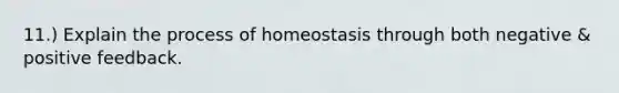 11.) Explain the process of homeostasis through both negative & positive feedback.