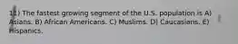 11) The fastest growing segment of the U.S. population is A) Asians. B) African Americans. C) Muslims. D) Caucasians. E) Hispanics.