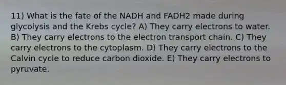 11) What is the fate of the NADH and FADH2 made during glycolysis and the Krebs cycle? A) They carry electrons to water. B) They carry electrons to <a href='https://www.questionai.com/knowledge/k57oGBr0HP-the-electron-transport-chain' class='anchor-knowledge'>the electron transport chain</a>. C) They carry electrons to the cytoplasm. D) They carry electrons to the Calvin cycle to reduce carbon dioxide. E) They carry electrons to pyruvate.