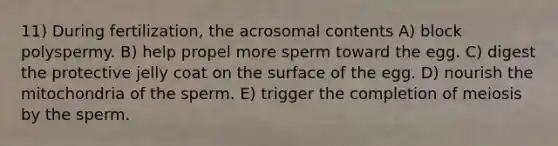 11) During fertilization, the acrosomal contents A) block polyspermy. B) help propel more sperm toward the egg. C) digest the protective jelly coat on the surface of the egg. D) nourish the mitochondria of the sperm. E) trigger the completion of meiosis by the sperm.