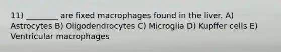 11) ________ are fixed macrophages found in the liver. A) Astrocytes B) Oligodendrocytes C) Microglia D) Kupffer cells E) Ventricular macrophages