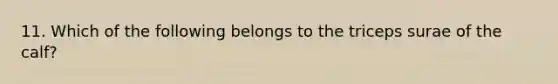 11. Which of the following belongs to the triceps surae of the calf?