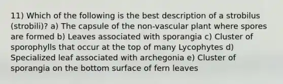 11) Which of the following is the best description of a strobilus (strobili)? a) The capsule of the non-vascular plant where spores are formed b) Leaves associated with sporangia c) Cluster of sporophylls that occur at the top of many Lycophytes d) Specialized leaf associated with archegonia e) Cluster of sporangia on the bottom surface of fern leaves