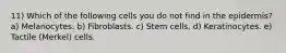 11) Which of the following cells you do not find in the epidermis? a) Melanocytes. b) Fibroblasts. c) Stem cells. d) Keratinocytes. e) Tactile (Merkel) cells.