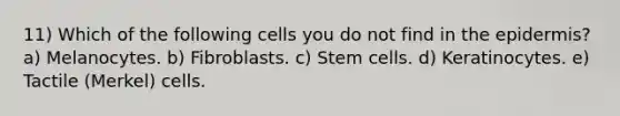 11) Which of the following cells you do not find in <a href='https://www.questionai.com/knowledge/kBFgQMpq6s-the-epidermis' class='anchor-knowledge'>the epidermis</a>? a) Melanocytes. b) Fibroblasts. c) Stem cells. d) Keratinocytes. e) Tactile (Merkel) cells.