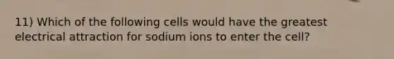 11) Which of the following cells would have the greatest electrical attraction for sodium ions to enter the cell?