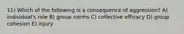 11) Which of the following is a consequence of aggression? A) individual's role B) group norms C) collective efficacy D) group cohesion E) injury