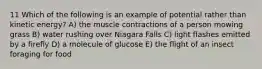 11 Which of the following is an example of potential rather than kinetic energy? A) the muscle contractions of a person mowing grass B) water rushing over Niagara Falls C) light flashes emitted by a firefly D) a molecule of glucose E) the flight of an insect foraging for food