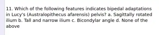 11. Which of the following features indicates bipedal adaptations in Lucy's (Australopithecus afarensis) pelvis? a. Sagittally rotated ilium b. Tall and narrow ilium c. Bicondylar angle d. None of the above