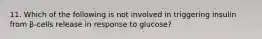 11. Which of the following is not involved in triggering insulin from β-cells release in response to glucose?