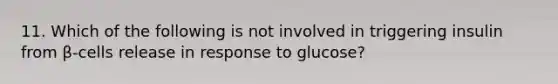 11. Which of the following is not involved in triggering insulin from β-cells release in response to glucose?