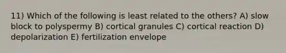 11) Which of the following is least related to the others? A) slow block to polyspermy B) cortical granules C) cortical reaction D) depolarization E) fertilization envelope