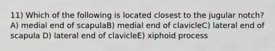 11) Which of the following is located closest to the jugular notch? A) medial end of scapulaB) medial end of clavicleC) lateral end of scapula D) lateral end of clavicleE) xiphoid process