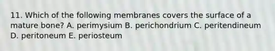 11. Which of the following membranes covers the surface of a mature bone? A. perimysium B. perichondrium C. peritendineum D. peritoneum E. periosteum