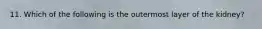 11. Which of the following is the outermost layer of the kidney?