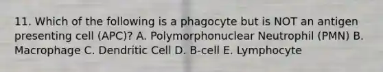 11. Which of the following is a phagocyte but is NOT an antigen presenting cell (APC)? A. Polymorphonuclear Neutrophil (PMN) B. Macrophage C. Dendritic Cell D. B-cell E. Lymphocyte