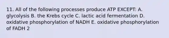 11. All of the following processes produce ATP EXCEPT: A. glycolysis B. the <a href='https://www.questionai.com/knowledge/kqfW58SNl2-krebs-cycle' class='anchor-knowledge'>krebs cycle</a> C. lactic acid fermentation D. <a href='https://www.questionai.com/knowledge/kFazUb9IwO-oxidative-phosphorylation' class='anchor-knowledge'>oxidative phosphorylation</a> of NADH E. oxidative phosphorylation of FADH 2