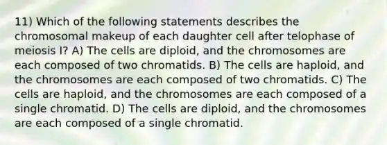 11) Which of the following statements describes the chromosomal makeup of each daughter cell after telophase of meiosis I? A) The cells are diploid, and the chromosomes are each composed of two chromatids. B) The cells are haploid, and the chromosomes are each composed of two chromatids. C) The cells are haploid, and the chromosomes are each composed of a single chromatid. D) The cells are diploid, and the chromosomes are each composed of a single chromatid.