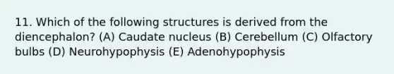 11. Which of the following structures is derived from the diencephalon? (A) Caudate nucleus (B) Cerebellum (C) Olfactory bulbs (D) Neurohypophysis (E) Adenohypophysis