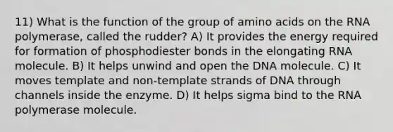 11) What is the function of the group of amino acids on the RNA polymerase, called the rudder? A) It provides the energy required for formation of phosphodiester bonds in the elongating RNA molecule. B) It helps unwind and open the DNA molecule. C) It moves template and non-template strands of DNA through channels inside the enzyme. D) It helps sigma bind to the RNA polymerase molecule.