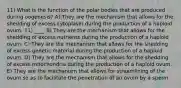 11) What is the function of the polar bodies that are produced during oogenesis? A) They are the mechanism that allows for the shedding of excess cytoplasm during the production of a haploid ovum. 11) ____ B) They are the mechanism that allows for the shedding of excess nutrients during the production of a haploid ovum. C) They are the mechanism that allows for the shedding of excess genetic material during the production of a haploid ovum. D) They are the mechanism that allows for the shedding of excess mitochondria during the production of a haploid ovum. E) They are the mechanism that allows for streamlining of the ovum so as to facilitate the penetration of an ovum by a sperm.