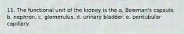 11. The functional unit of the kidney is the a. Bowman's capsule. b. nephron. c. glomerulus. d. urinary bladder. e. peritubular capillary.