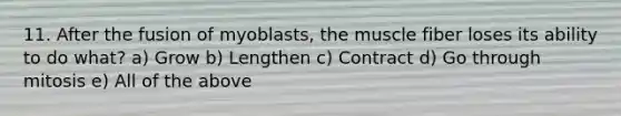 11. After the fusion of myoblasts, the muscle fiber loses its ability to do what? a) Grow b) Lengthen c) Contract d) Go through mitosis e) All of the above