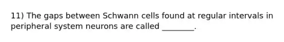 11) The gaps between Schwann cells found at regular intervals in peripheral system neurons are called ________.