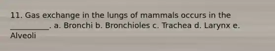 11. Gas exchange in the lungs of mammals occurs in the __________. a. Bronchi b. Bronchioles c. Trachea d. Larynx e. Alveoli