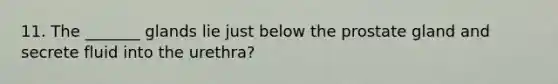 11. The _______ glands lie just below the prostate gland and secrete fluid into the urethra?