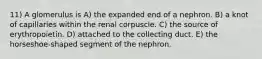 11) A glomerulus is A) the expanded end of a nephron. B) a knot of capillaries within the renal corpuscle. C) the source of erythropoietin. D) attached to the collecting duct. E) the horseshoe-shaped segment of the nephron.